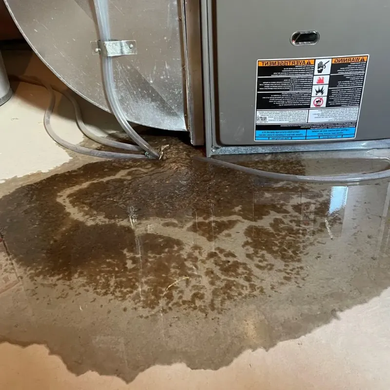 Pipe Burst and Leak Restoration in Pickerington, OH